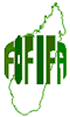 fofifa